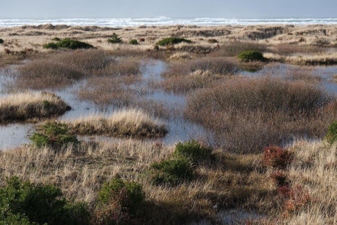 Tidal House 9 * Ocean Shores